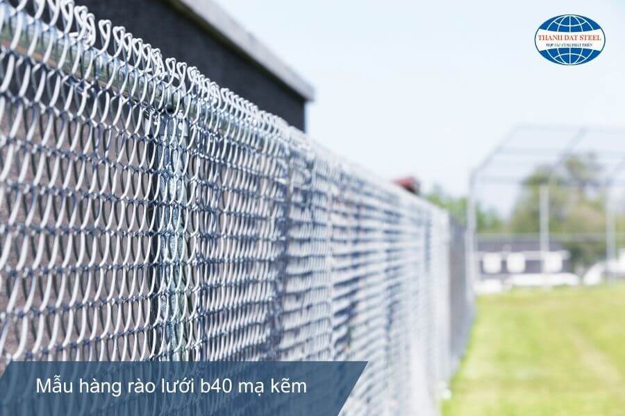 Mẫu hàng rào lưới b40 mạ kẽm tiêu chuẩn tiết kiệm chi phí